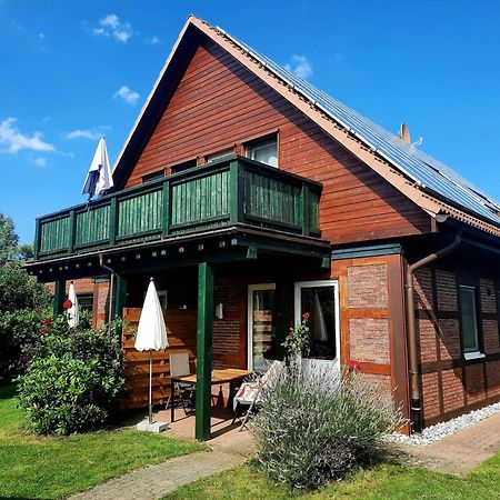 Ferienhaus Sasse Ferienwohnungen Mit Garten & Grill Molschow Exteriér fotografie