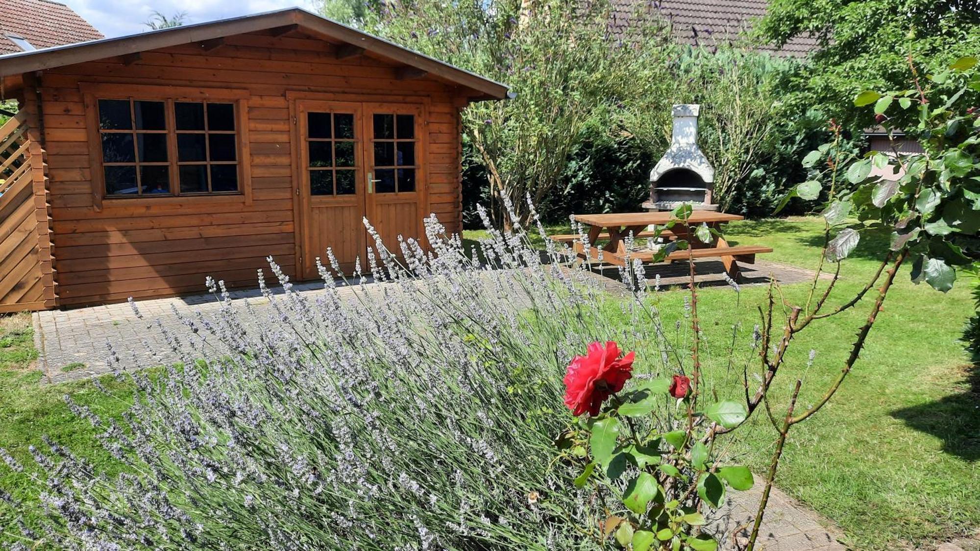 Ferienhaus Sasse Ferienwohnungen Mit Garten & Grill Molschow Exteriér fotografie